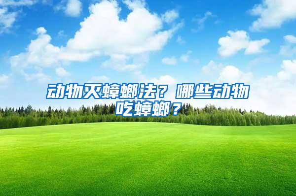 動物滅蟑螂法？哪些動物吃蟑螂？