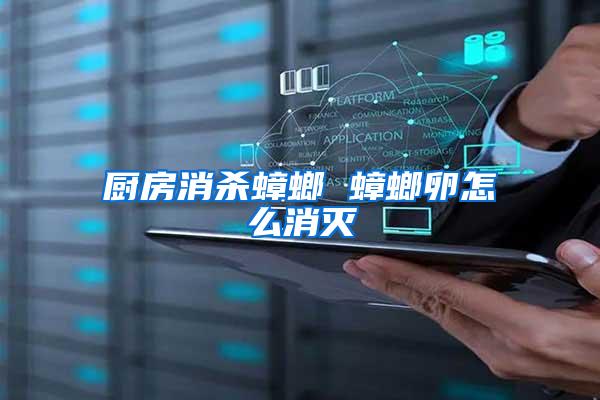 廚房消殺蟑螂 蟑螂卵怎么消滅
