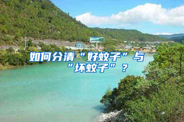如何分清“好蚊子”與“壞蚊子”？