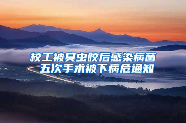 校工被臭蟲咬后感染病菌 五次手術被下病危通知