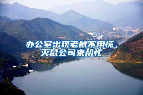 辦公室出現老鼠不用慌，滅鼠公司來幫忙