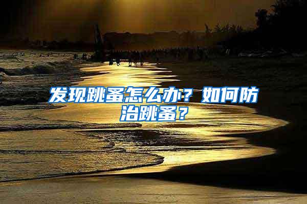 發(fā)現(xiàn)跳蚤怎么辦？如何防治跳蚤？
