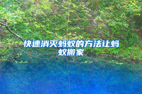 快速消滅螞蟻的方法讓螞蟻搬家