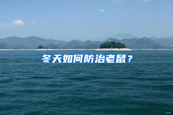 冬天如何防治老鼠？