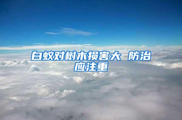 白蟻對樹木損害大 防治應注重