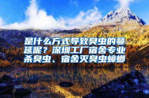 是什么方式導致臭蟲的蔓延呢？深圳工廠宿舍專業殺臭蟲、宿舍滅臭蟲蟑螂