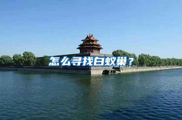 怎么尋找白蟻巢？