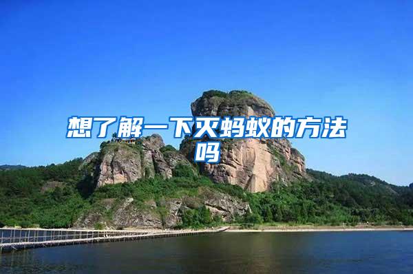 想了解一下滅螞蟻的方法嗎