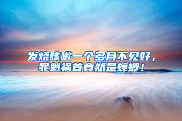 發燒咳嗽一個多月不見好，罪魁禍首竟然是蟑螂！