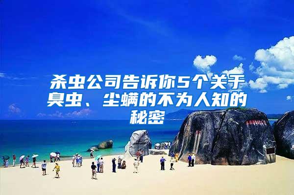 殺蟲公司告訴你5個(gè)關(guān)于臭蟲、塵螨的不為人知的秘密