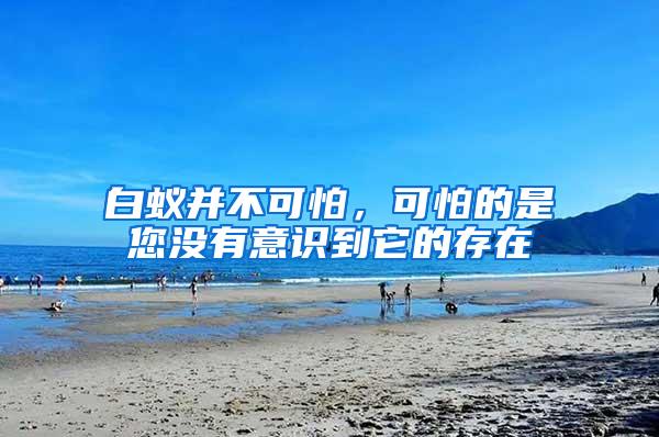 白蟻并不可怕，可怕的是您沒有意識到它的存在