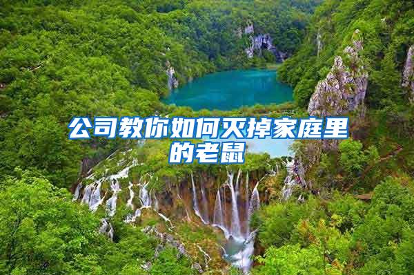 公司教你如何滅掉家庭里的老鼠