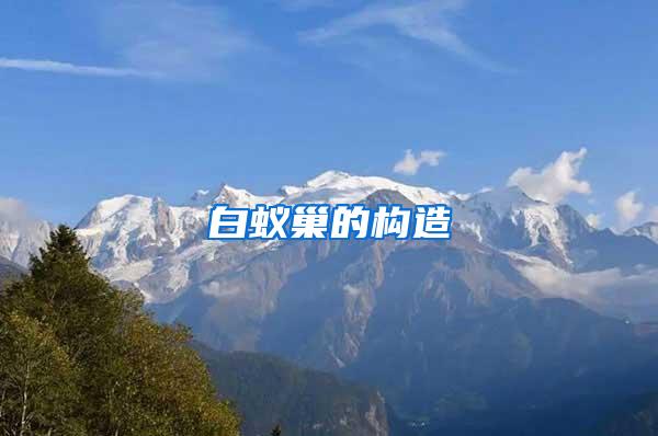 白蟻巢的構造