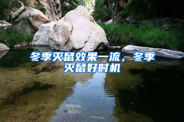 冬季滅鼠效果一流，冬季滅鼠好時機