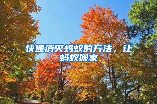 快速消滅螞蟻的方法，讓螞蟻搬家