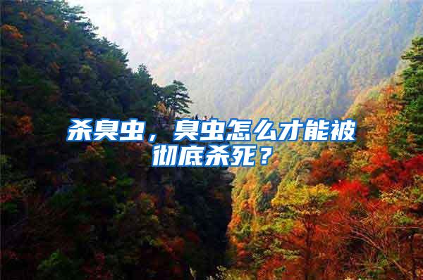殺臭蟲(chóng)，臭蟲(chóng)怎么才能被徹底殺死？