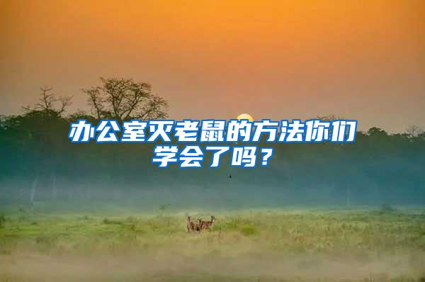 辦公室滅老鼠的方法你們學(xué)會了嗎？