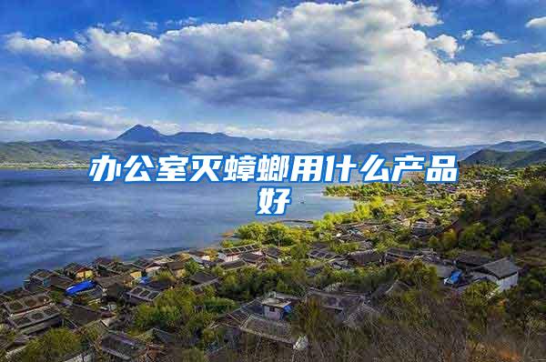 辦公室滅蟑螂用什么產(chǎn)品好