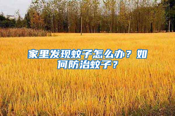 家里發(fā)現(xiàn)蚊子怎么辦？如何防治蚊子？