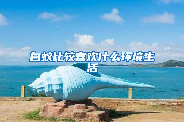 白蟻比較喜歡什么環境生活