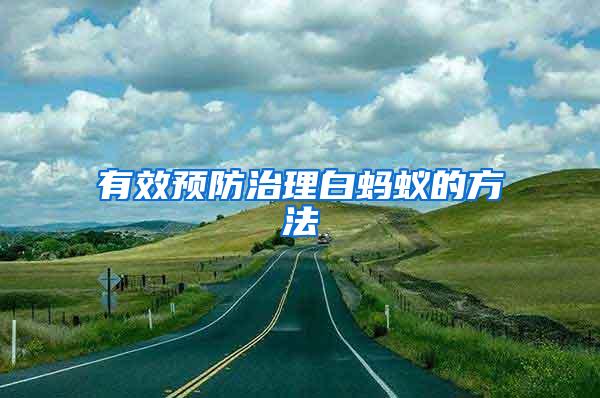 有效預防治理白螞蟻的方法