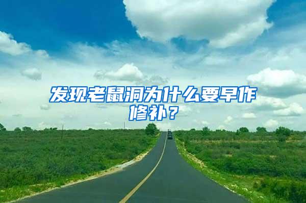 發(fā)現(xiàn)老鼠洞為什么要早作修補(bǔ)？