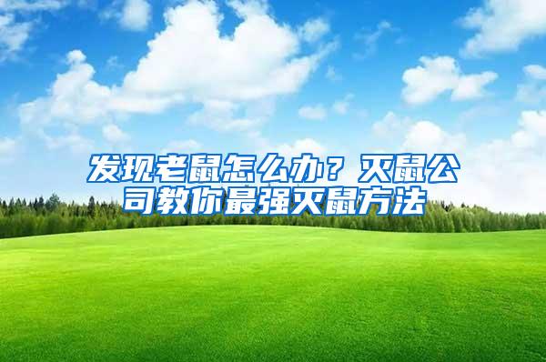 發(fā)現老鼠怎么辦？滅鼠公司教你最強滅鼠方法