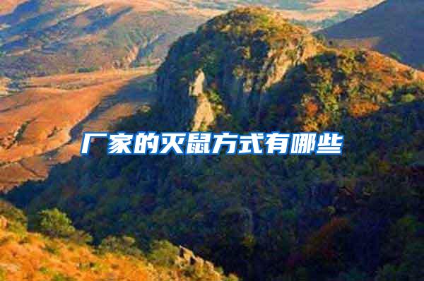 廠家的滅鼠方式有哪些
