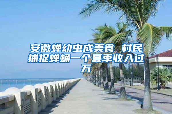安徽蟬幼蟲成美食 村民捕捉蟬蛹一個夏季收入過萬