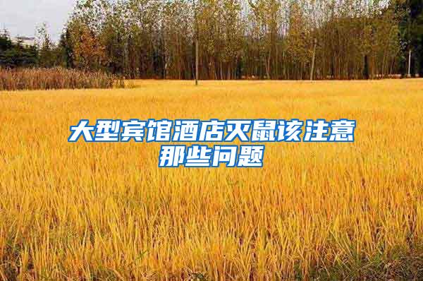 大型賓館酒店滅鼠該注意那些問(wèn)題