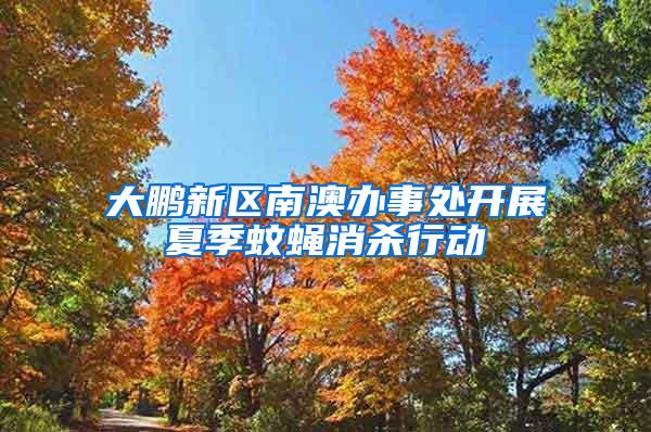 大鵬新區南澳辦事處開展夏季蚊蠅消殺行動