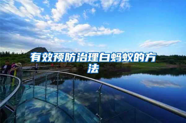 有效預防治理白螞蟻的方法