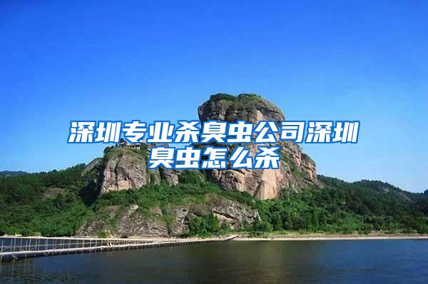深圳專業(yè)殺臭蟲公司深圳臭蟲怎么殺