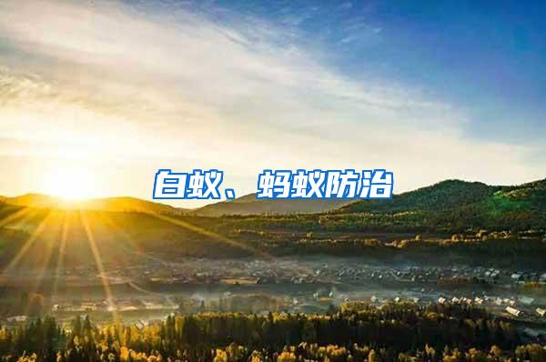白蟻、螞蟻防治