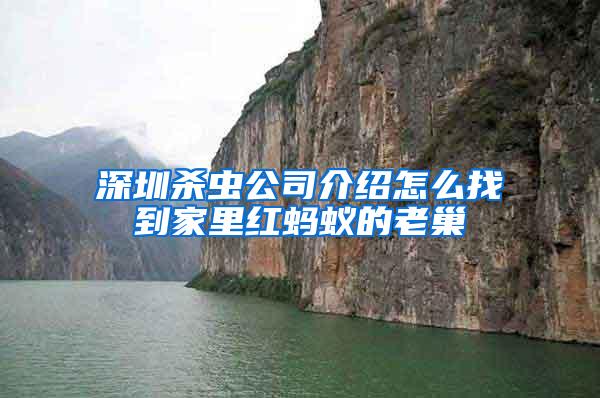 深圳殺蟲公司介紹怎么找到家里紅螞蟻的老巢
