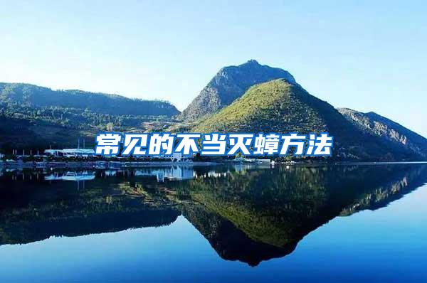 常見的不當滅蟑方法