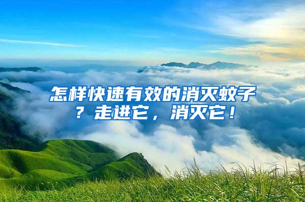 怎樣快速有效的消滅蚊子？走進它，消滅它！