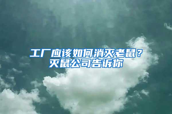 工廠應該如何消滅老鼠？滅鼠公司告訴你