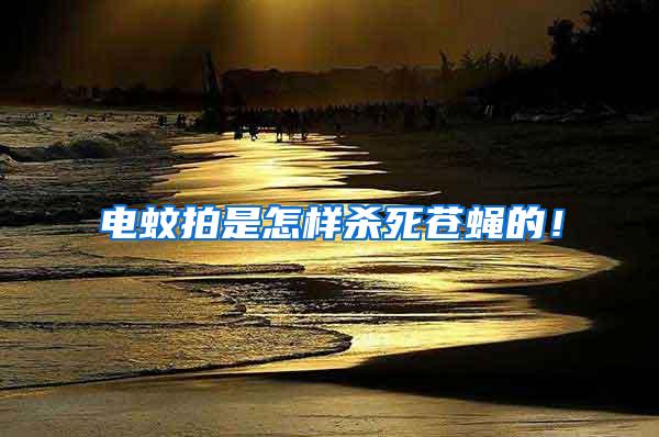 電蚊拍是怎樣殺死蒼蠅的！
