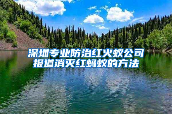 深圳專業(yè)防治紅火蟻公司報道消滅紅螞蟻的方法