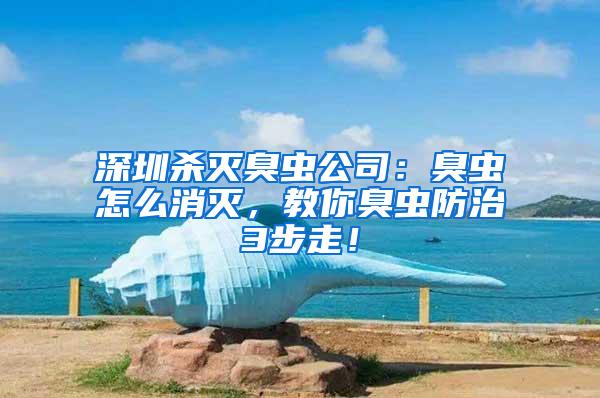 深圳殺滅臭蟲公司：臭蟲怎么消滅，教你臭蟲防治3步走！