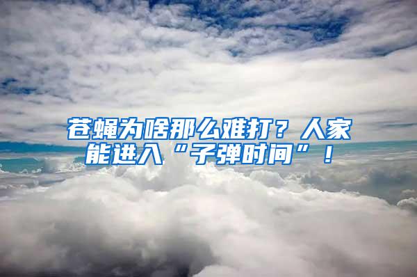 蒼蠅為啥那么難打？人家能進入“子彈時間”！
