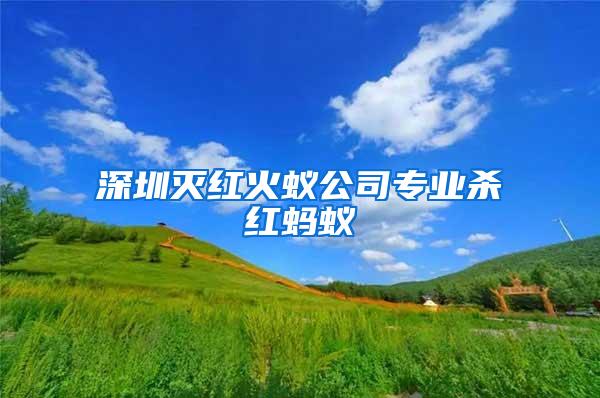 深圳滅紅火蟻公司專業殺紅螞蟻