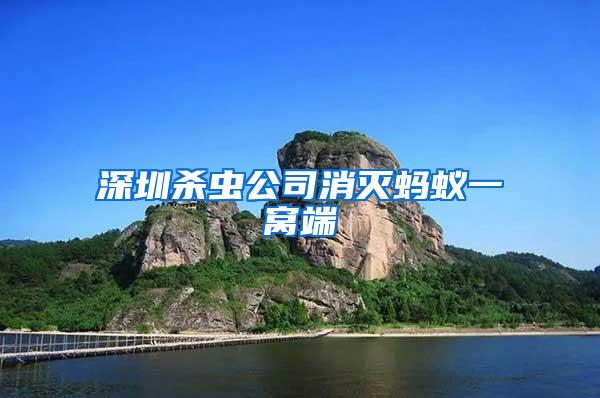 深圳殺蟲公司消滅螞蟻一窩端