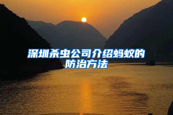 深圳殺蟲(chóng)公司介紹螞蟻的防治方法