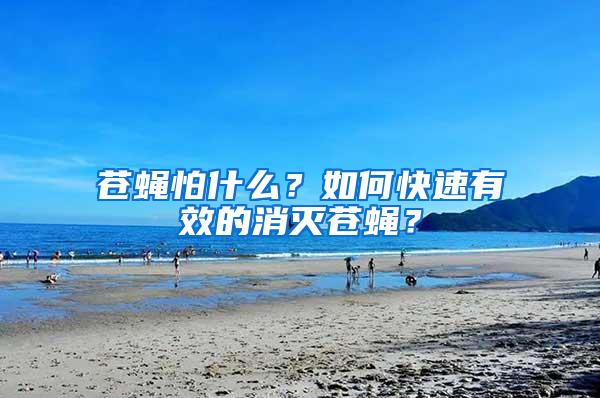 蒼蠅怕什么？如何快速有效的消滅蒼蠅？
