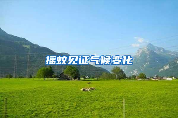 搖蚊見證氣候變化