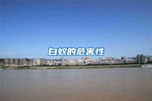 白蟻的危害性