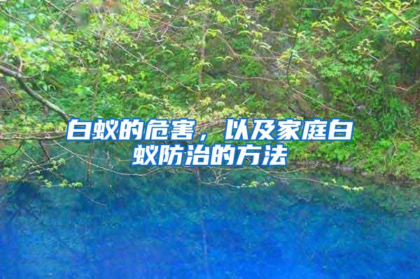 白蟻的危害，以及家庭白蟻防治的方法