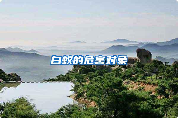 白蟻的危害對(duì)象